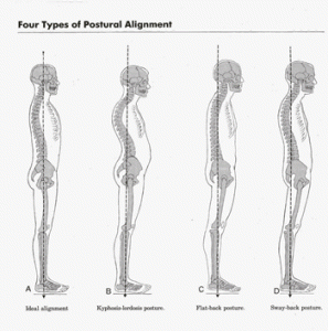 posture-charts1